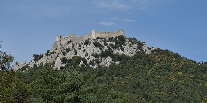 700 d2 castells catar (tots sants 2022) 430